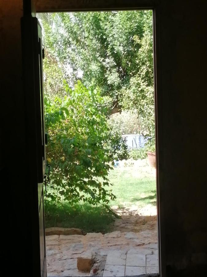 Studio In Byoum By Qaroun Lake In Fayoum Qaryat at Ta'mir as Siyahiyah Dış mekan fotoğraf